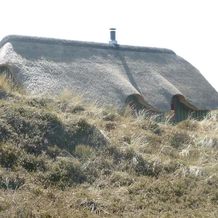 Tatil Evi Ccviii *